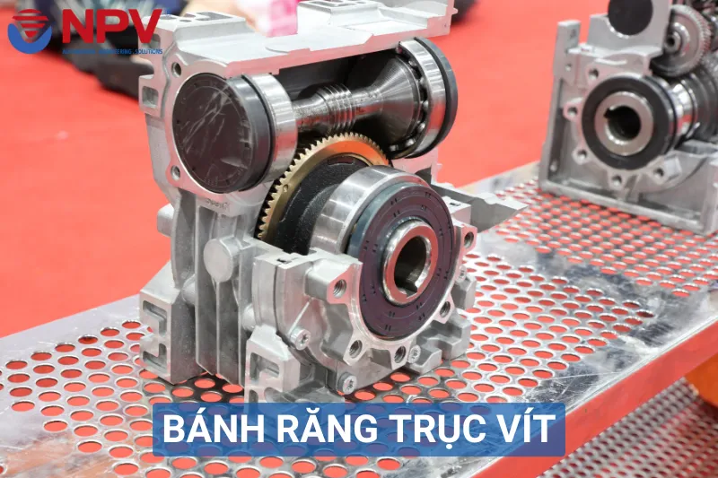 Bánh răng trục vít